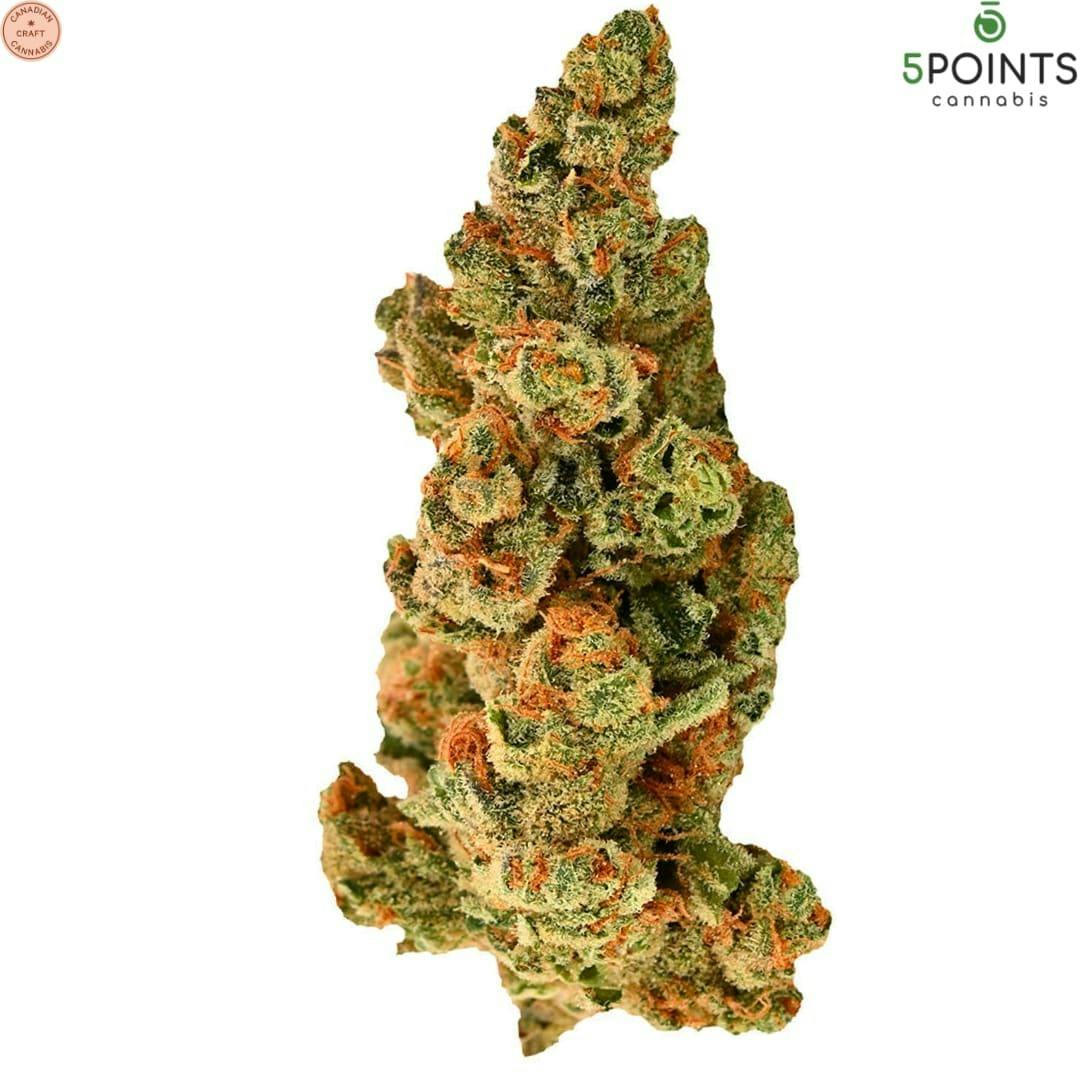 5 Points Cannabis | Sacre Bleu Craft Flower | 3.5g~
