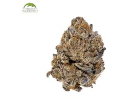 Electric Punch 7g (S)
