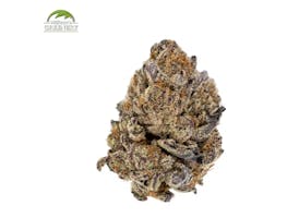 Electric Punch 1oz (S)