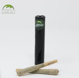 Pre-Roll 2pk | Electric Punch (S)