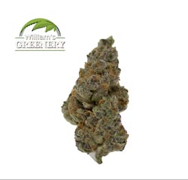 Unicorn Poop 7g (H)