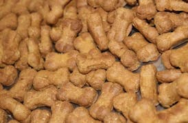100mg CBD Dog Treats