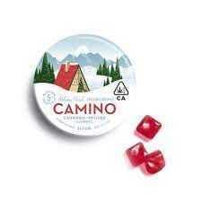 Camino: Holiday Punch