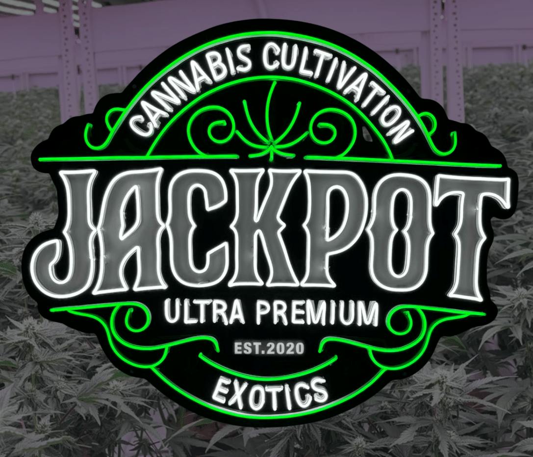 Jackpot - Banana Blitz (smalls) 3.5g - 3.5 grams