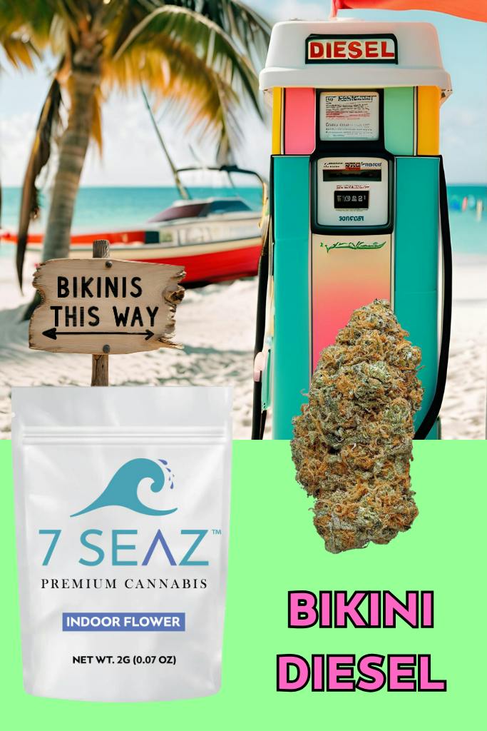Bikini Diesel