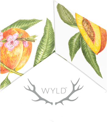 Wyld - PCH B12 - Peach 50mg THC