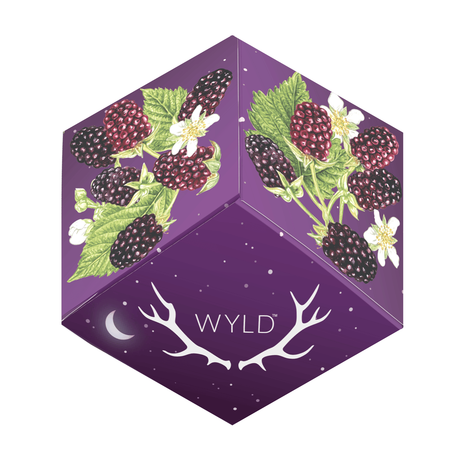 Wyld - BSN B5 - Boysenberry 100mg THC