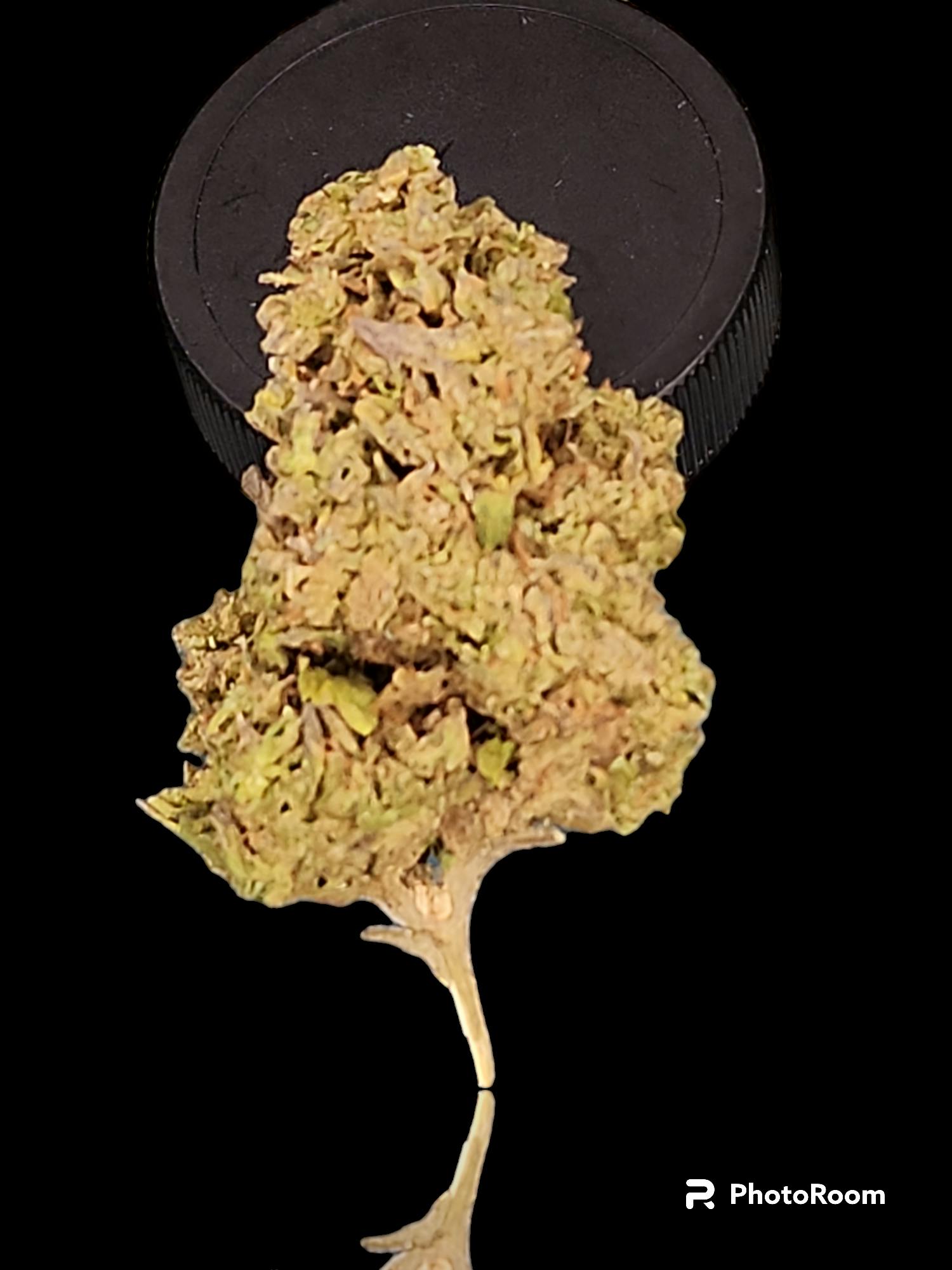 Charlie Girl #9 (indica 24.92% outdoor)
