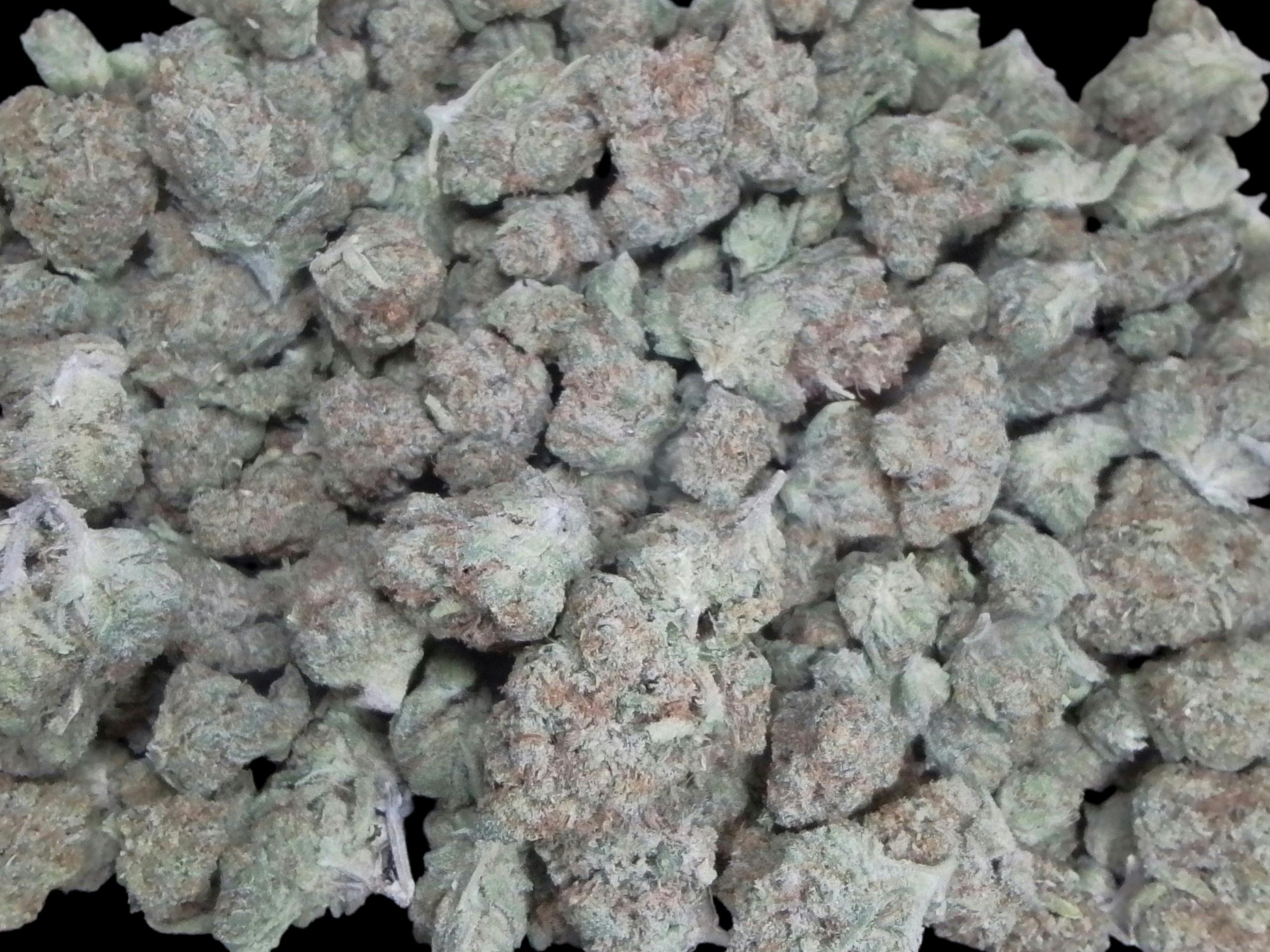 DURBAN POSION Bud Tenders Pick Of The week
