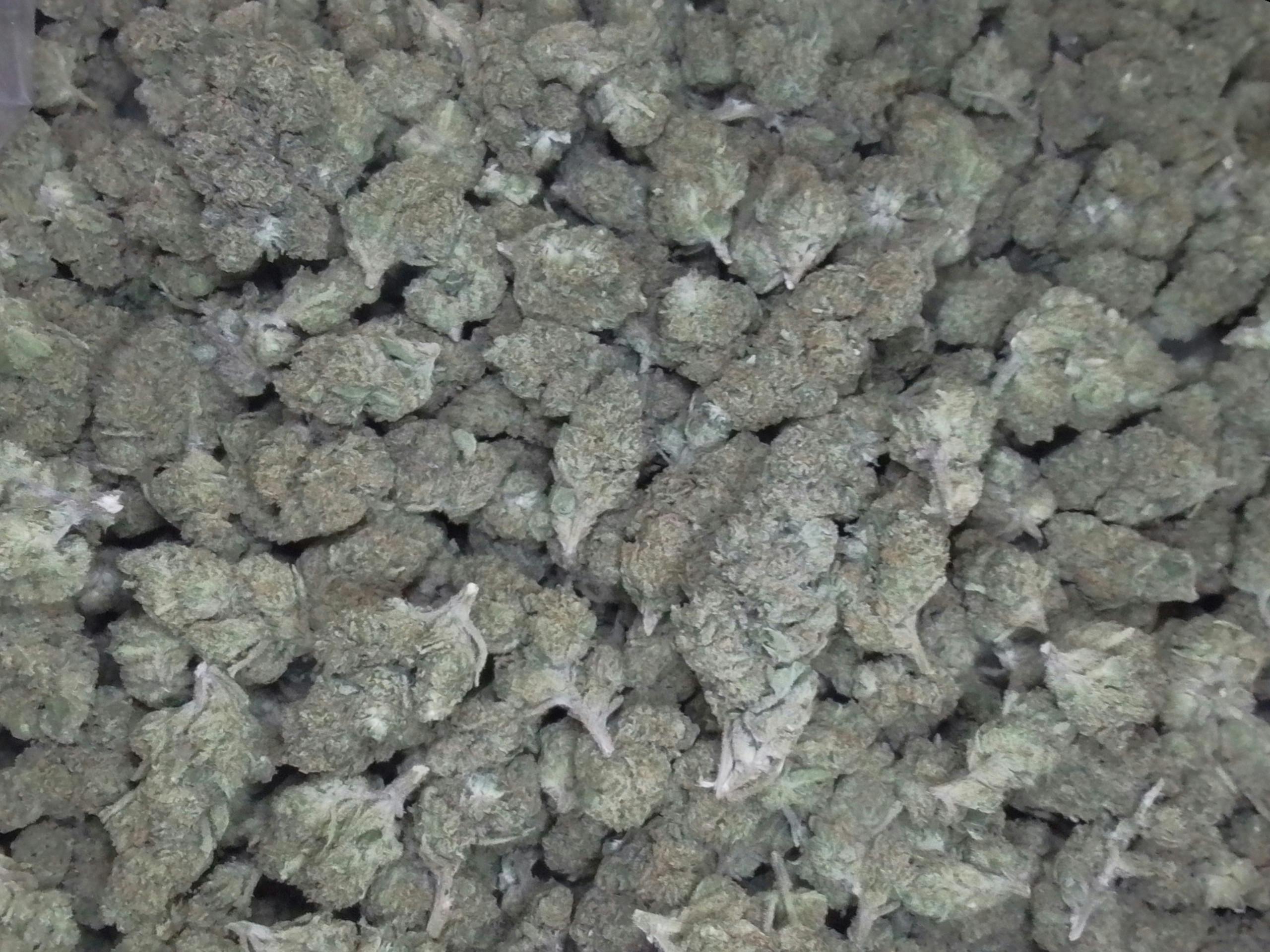 Banana Crack (S) BIGS
