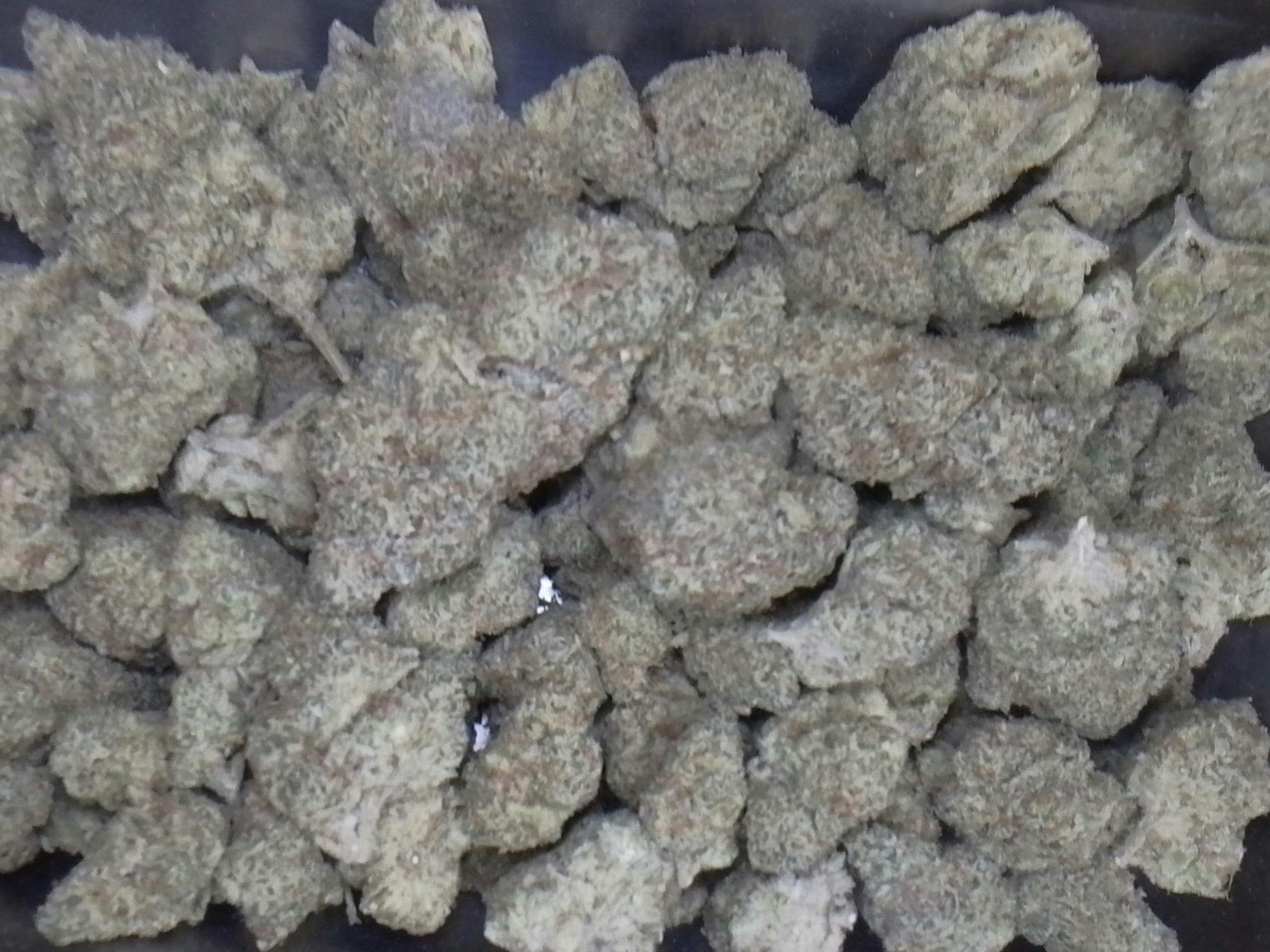 Flambecita #3 Thc 24.28%