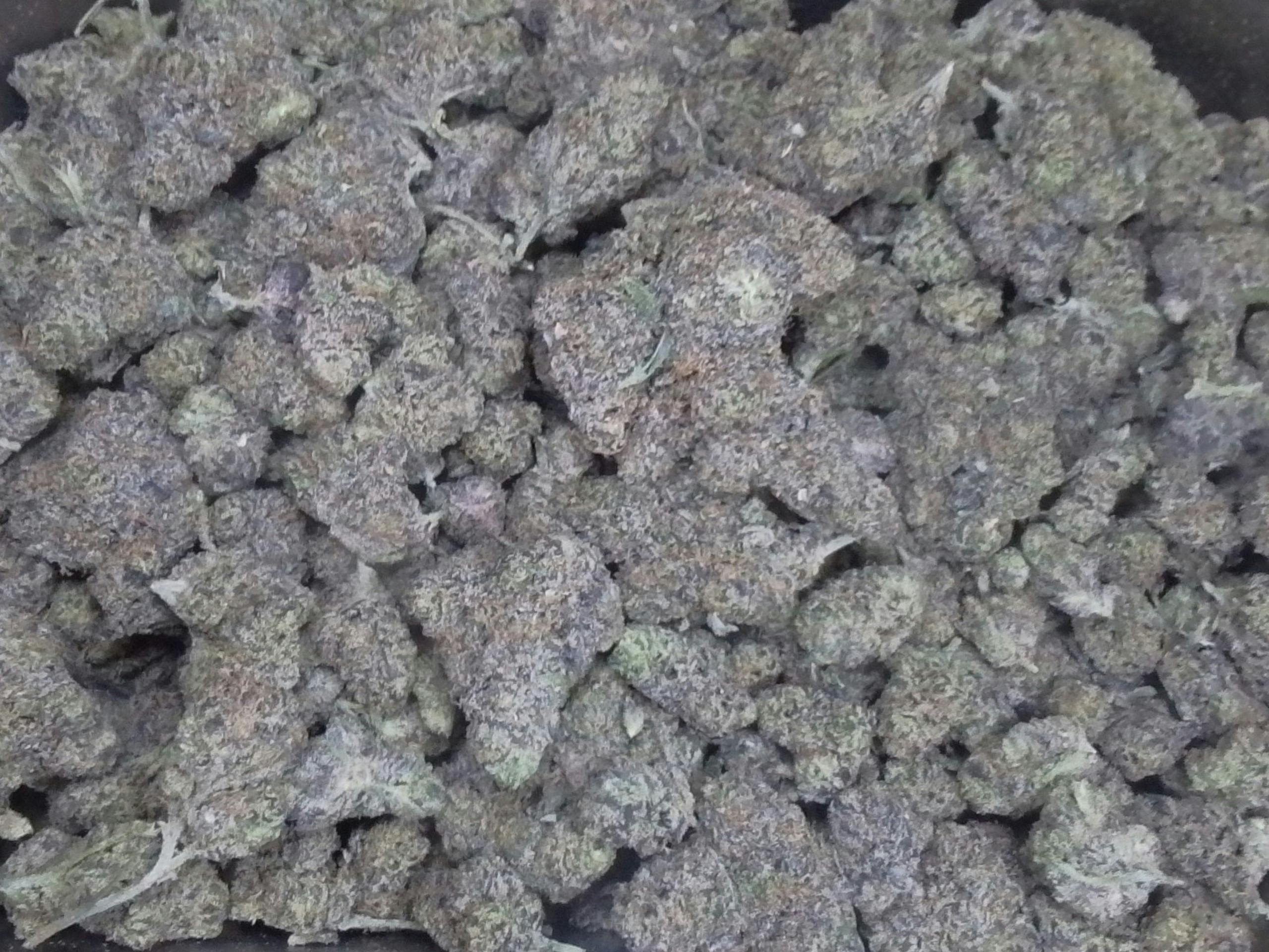 OG Kush THC 25.1%