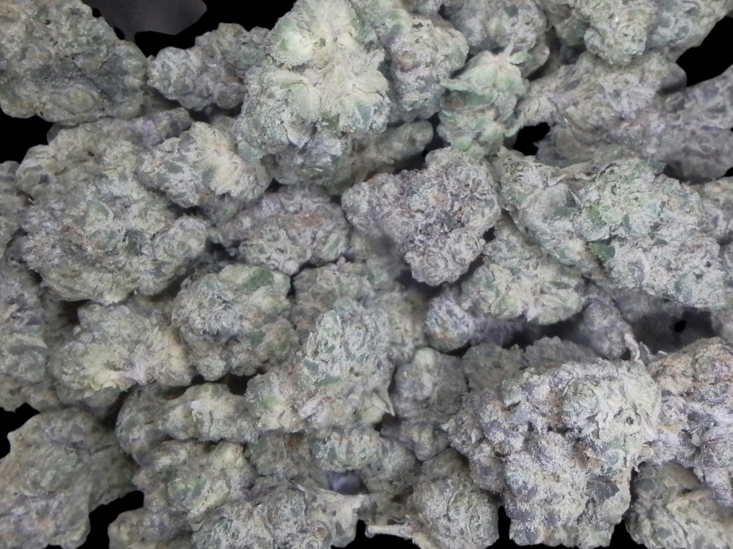 Flower Dragons Breath (H)