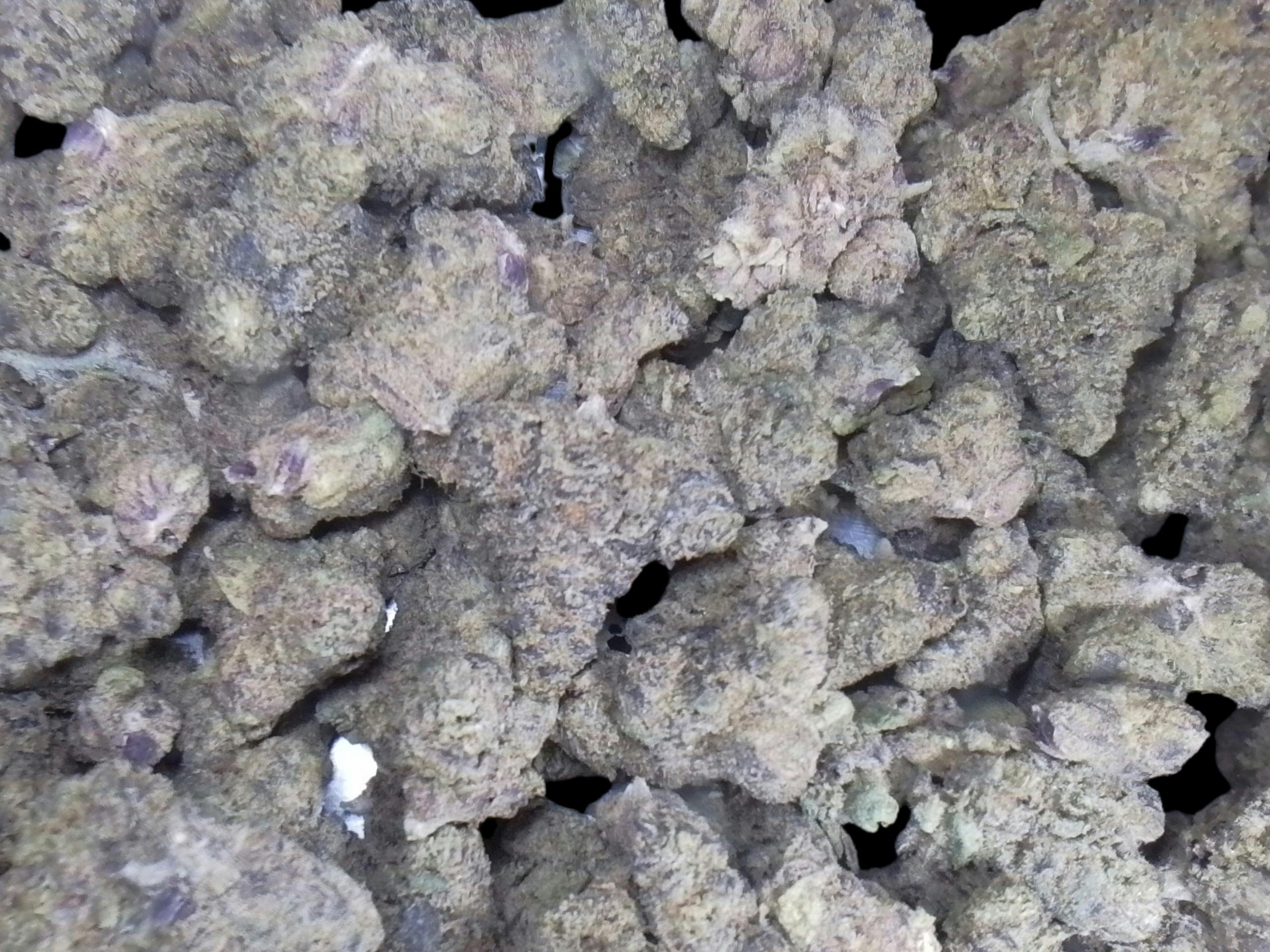 Flower Time Bomb (H) 30.23%