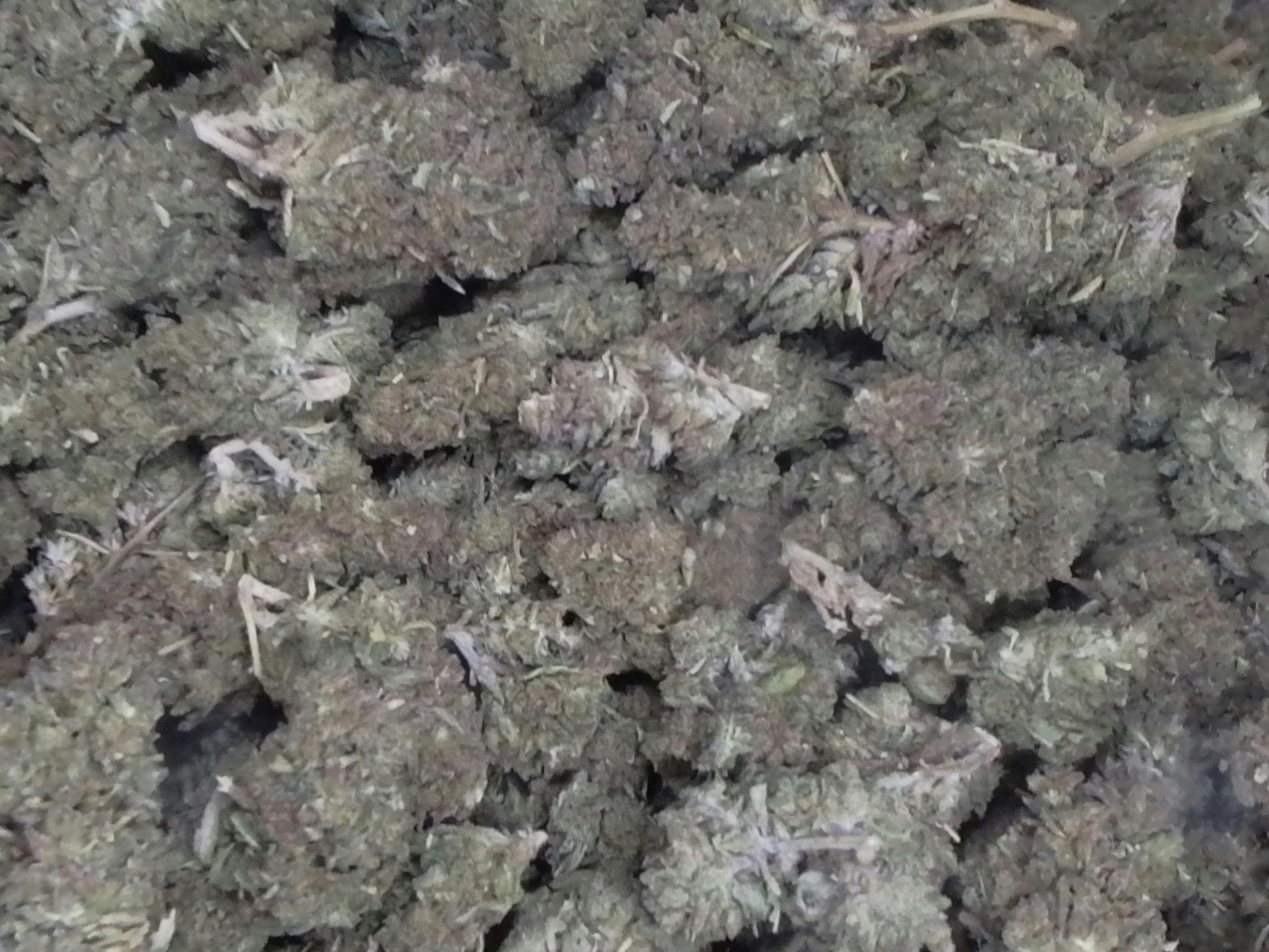 Shishkaberry