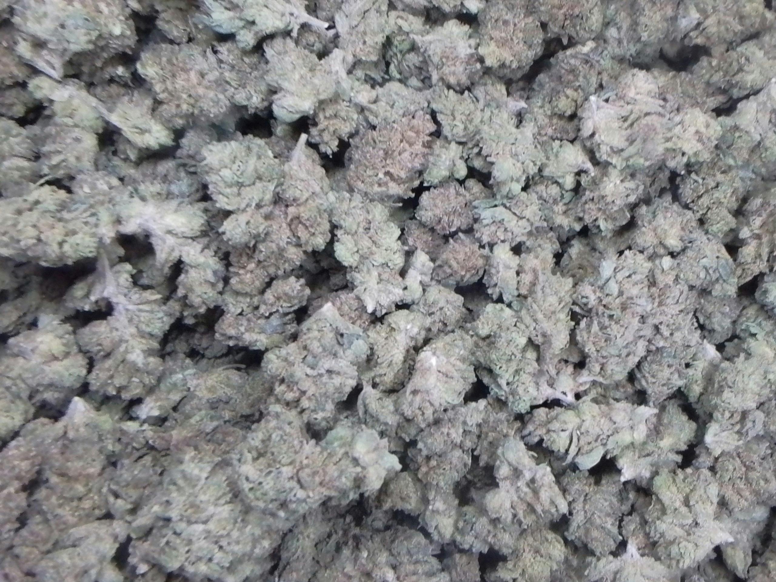 Alien Rock Candy