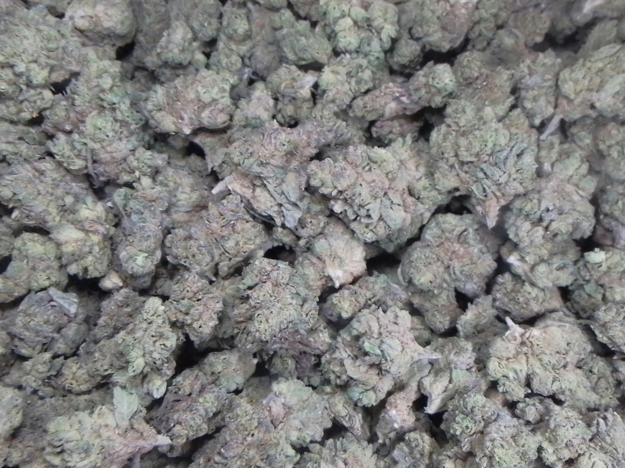 Gelato 33