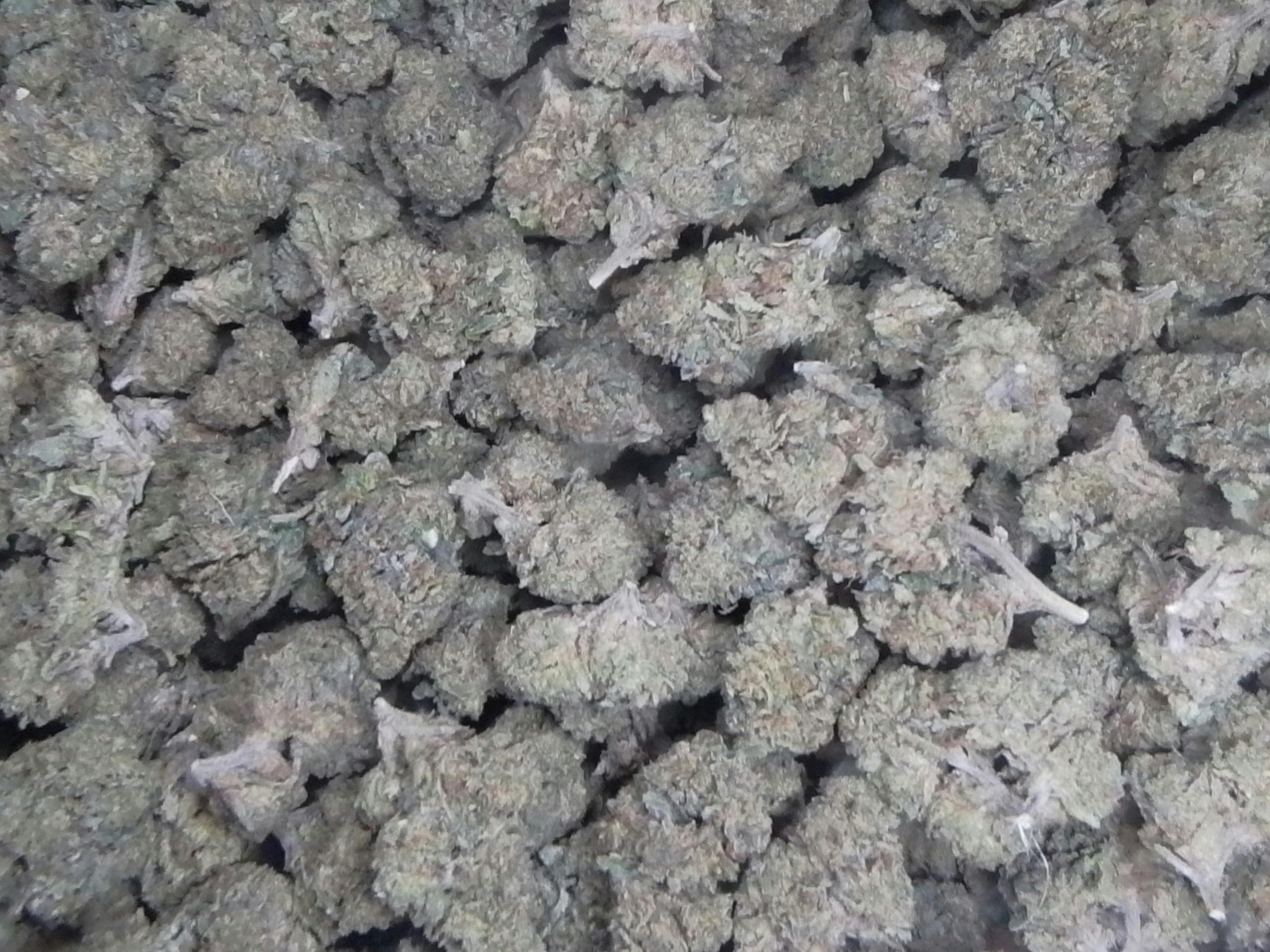 Jet Fuel Gelato