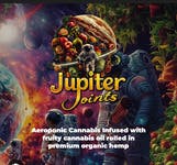Jupiter Joints | Pineapple Paradise (S) | 1 Gram
