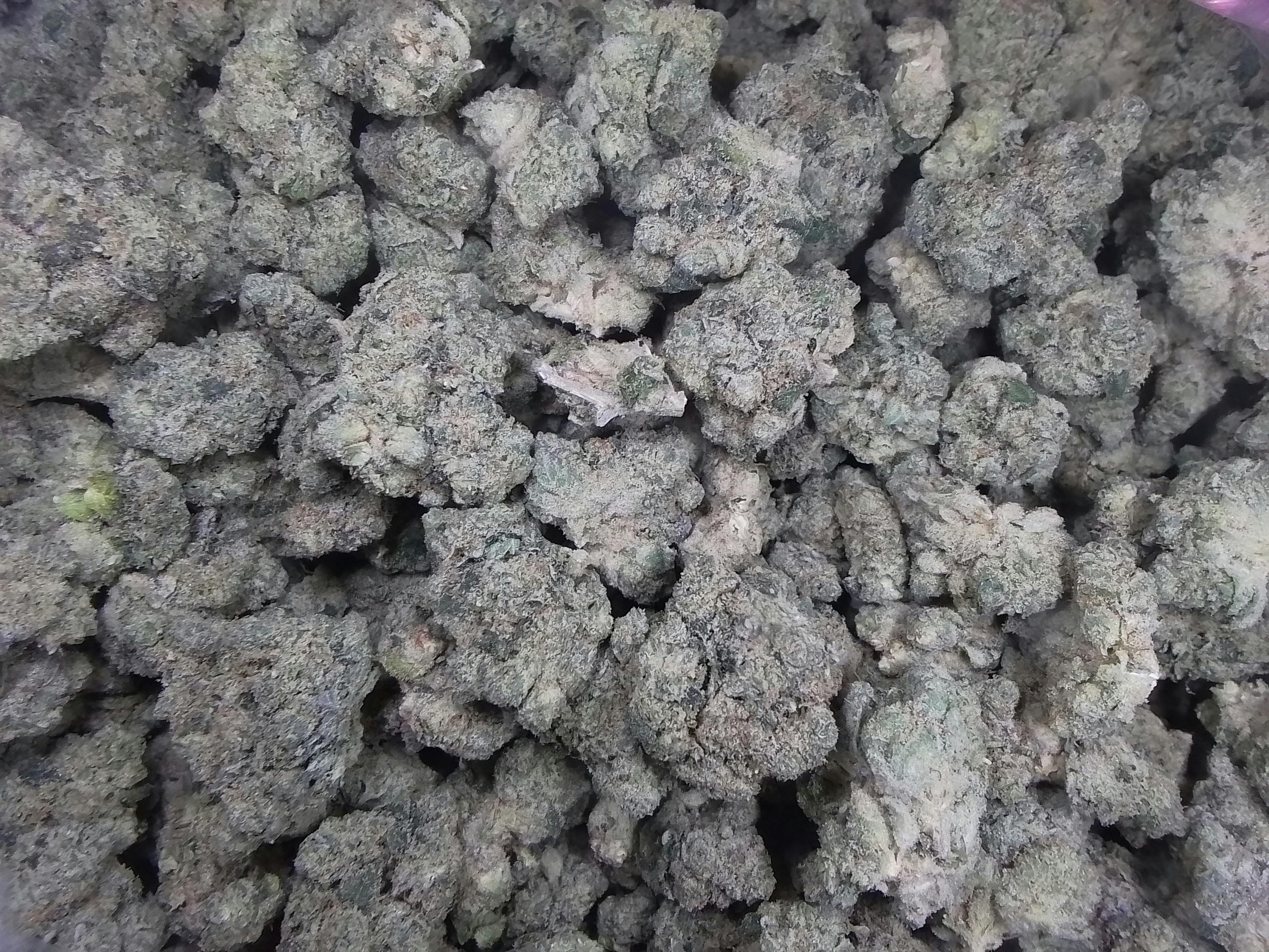 Flower Petro Berry (H)