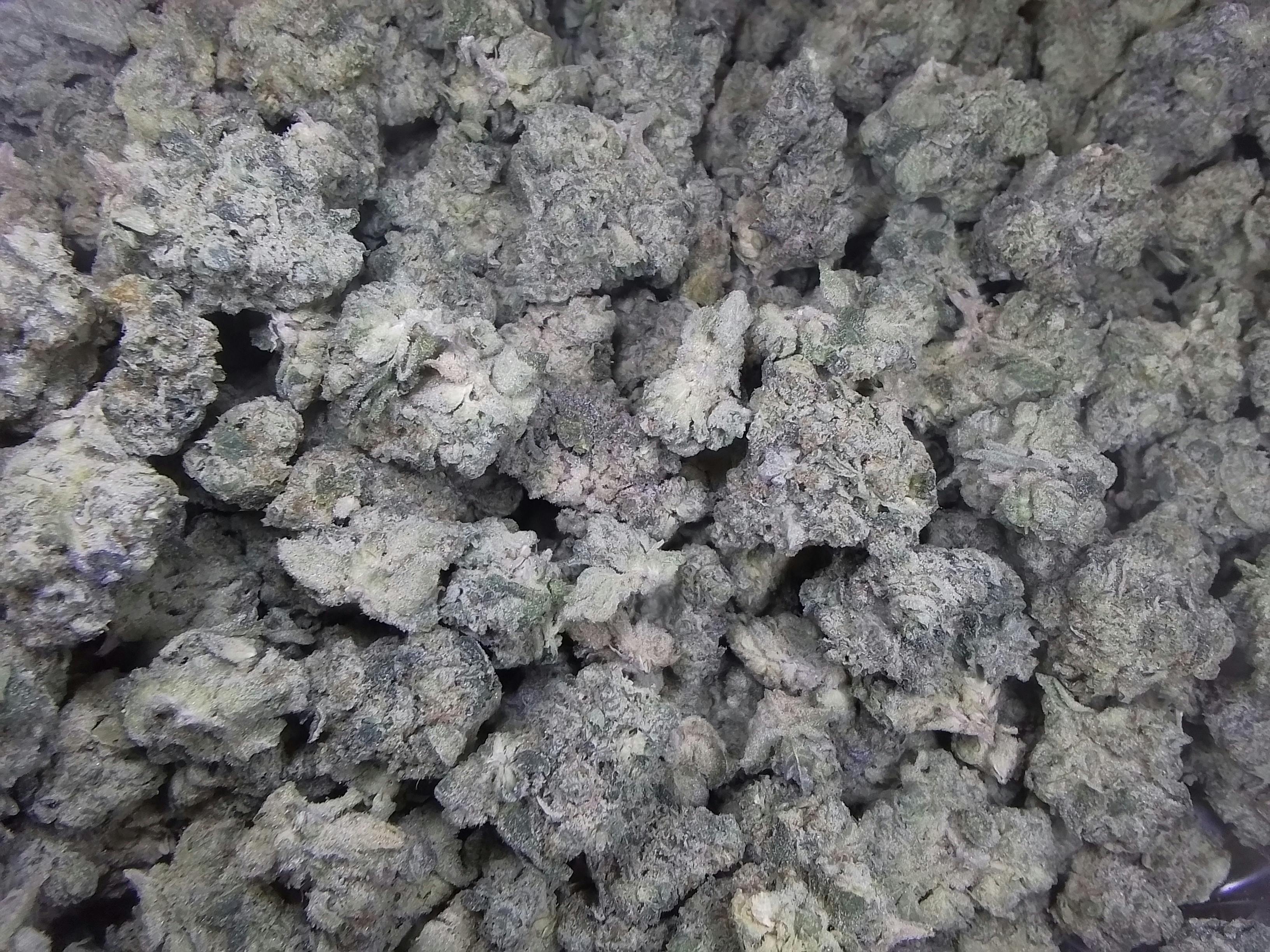 Flower White Sands Bomber (H)