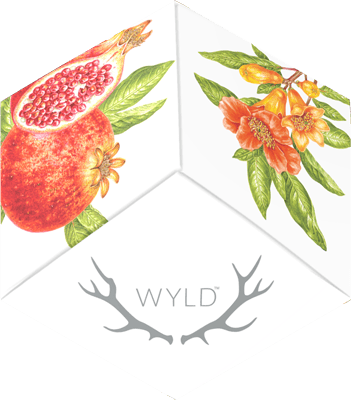 Wyld - POM B14 - Pomegranate 100mg THC