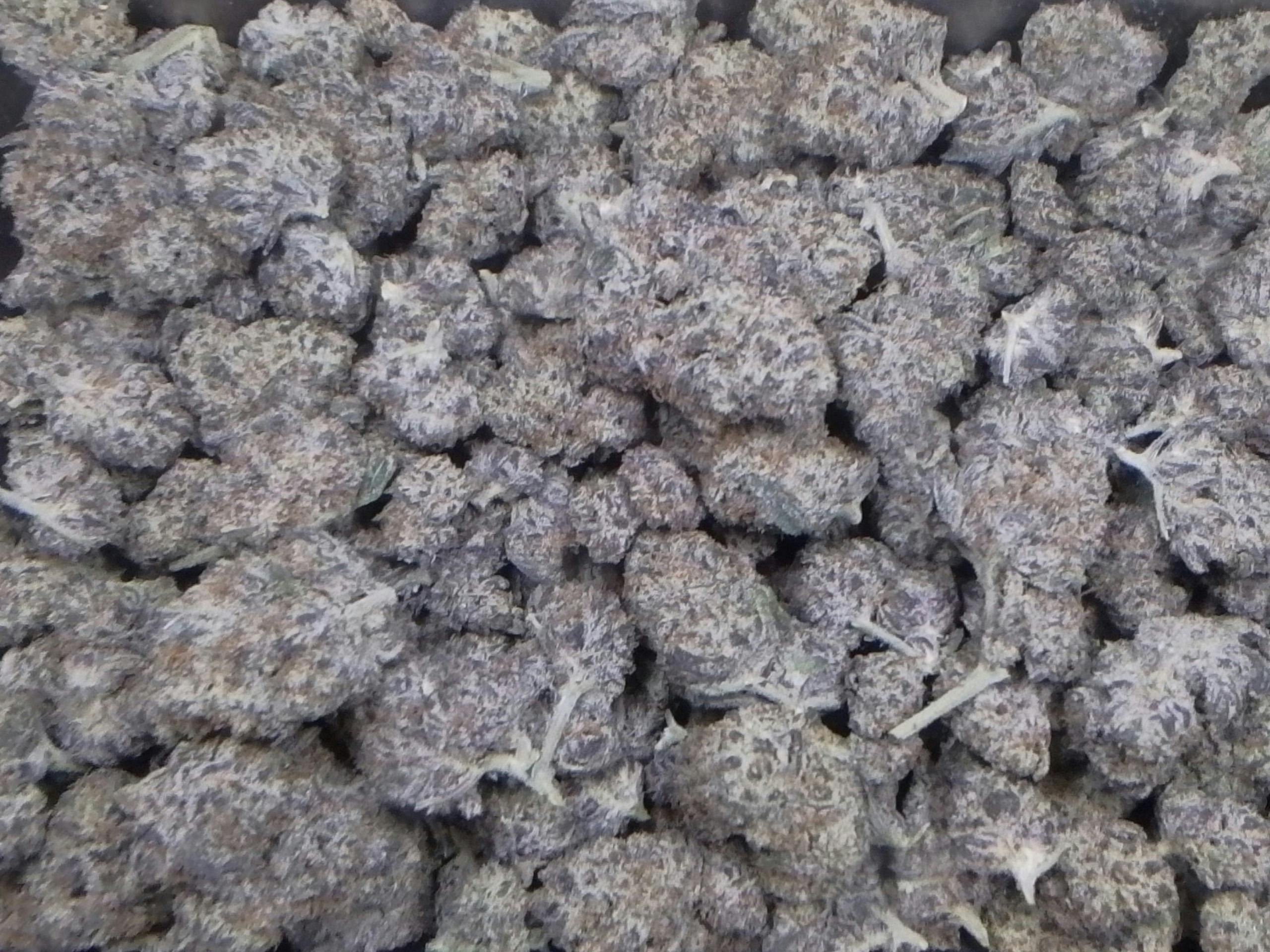 Oreoz 26.69%