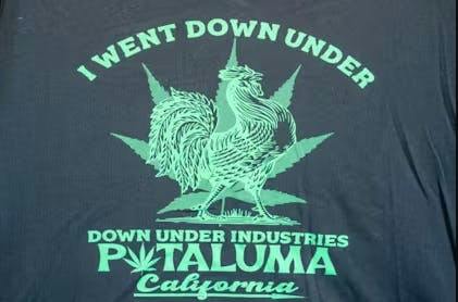 Chicken Shirt Womens Medium