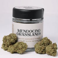 Mendocino Grasslands - Legend OG 4.2g - 4.2 grams
