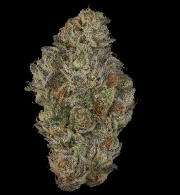 Fig Farms - Koala Crack Flower 3.5g - 3.5 grams
