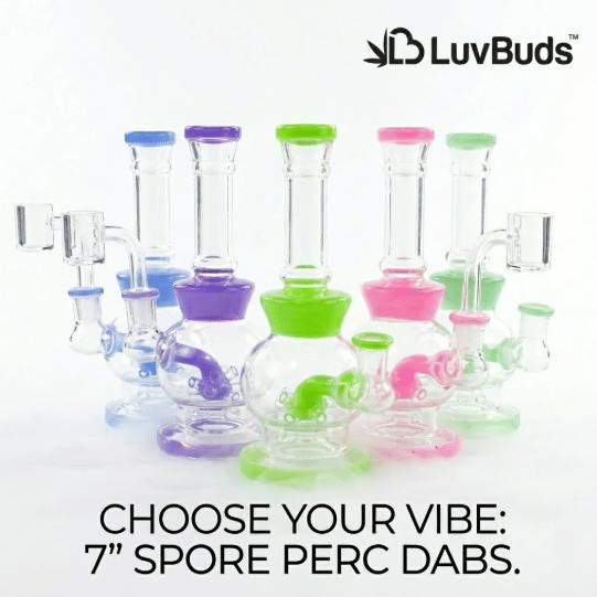 LuvBuds - 7" Spore Rig w/ Bowl