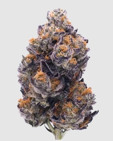 Flower- Vice City Bulk