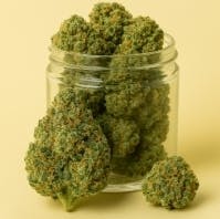 Lemon Lime Runtz, Bulk Flower