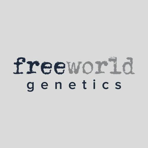 Freeworld Genetics-Purple Garlic x Peach Breath (H)