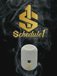 Schedule 1-Disposable-LR/Rosin/Distillate Blend-2g-Papaya Runtz (I)