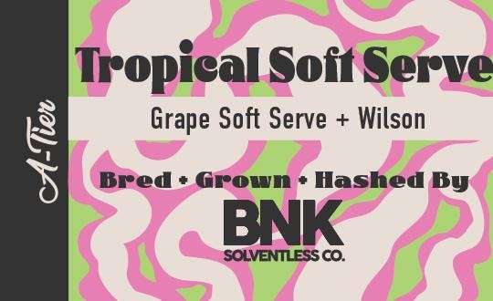 Tropical Soft Serve Rosin Concentrate: Bo S Nose Knows