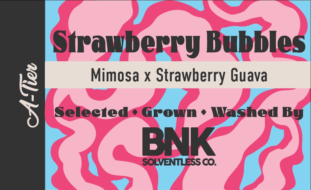 Strawberry Bubbles Rosin Concentrate: Bo S Nose Knows