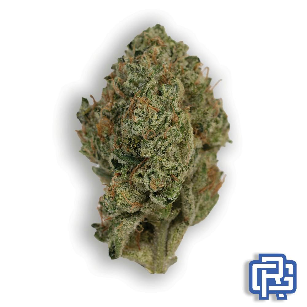 Wicked Sour Flower: Otis Gardens