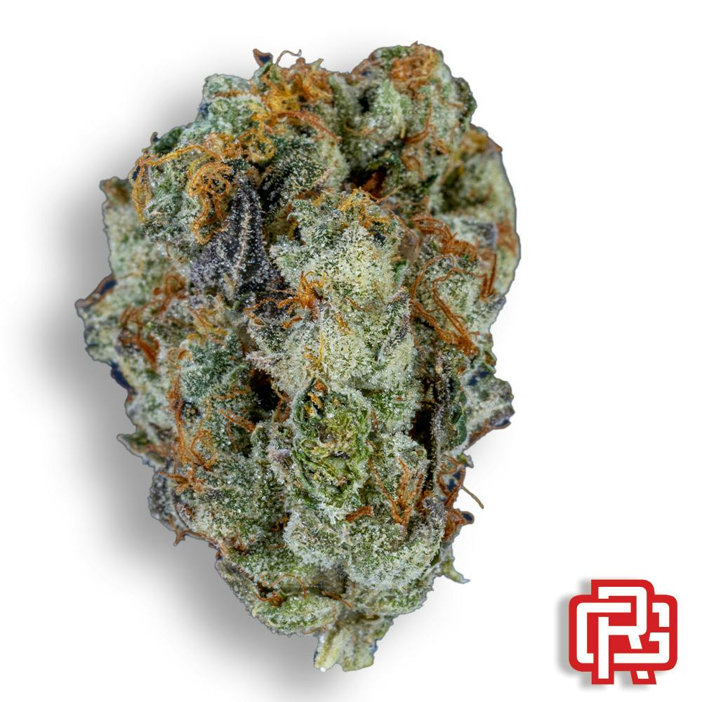Nigerian Silver Flower: Kmb Farms
