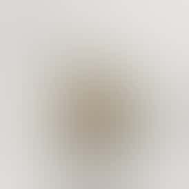 Slapz - Hybrid - Fuego