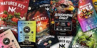 1000mg THC Blueberry Indica Gummies | Nature's Key