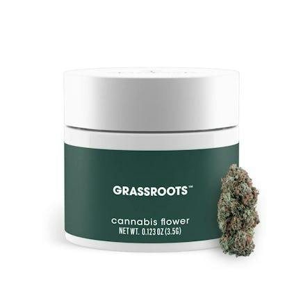 Giggin' Grapes | Small Buds | 7G