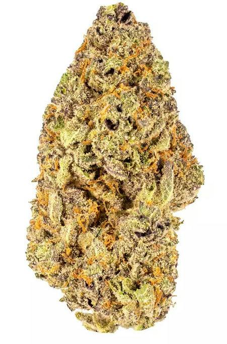 Lemon Cherry Gelato | Flower | 7G