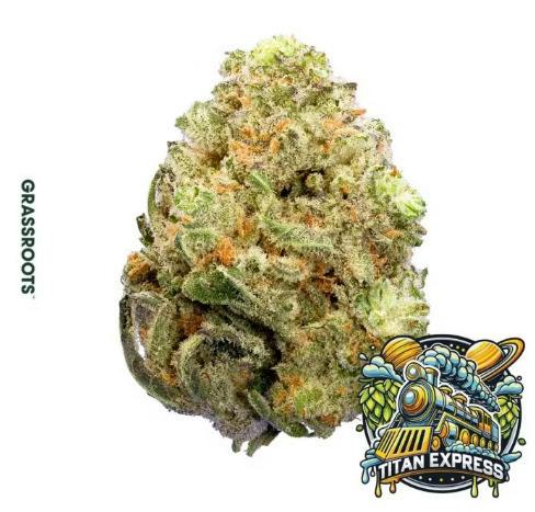 Titan Express | Flower | 3.5G cannabis product