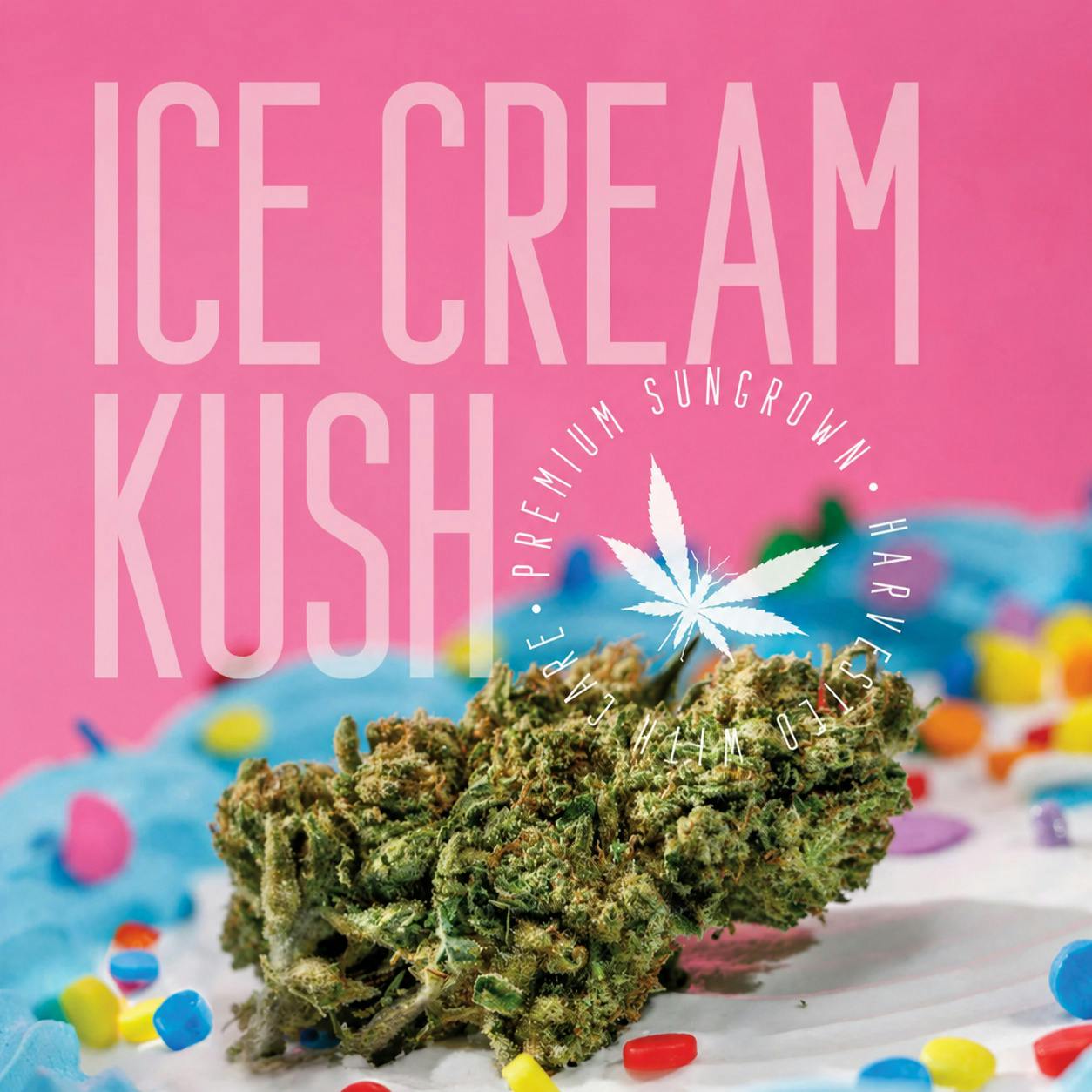 Ice Cream Kush Flower