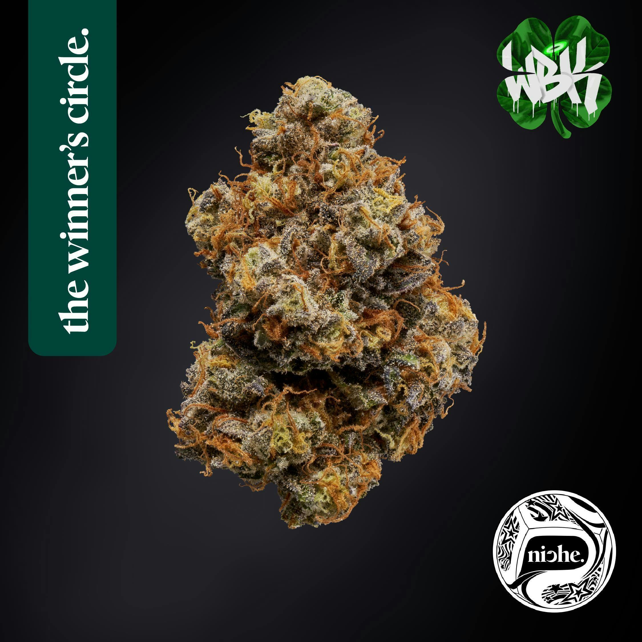 Irish Springz | Flower | 3.5G (White Boy Kev)
