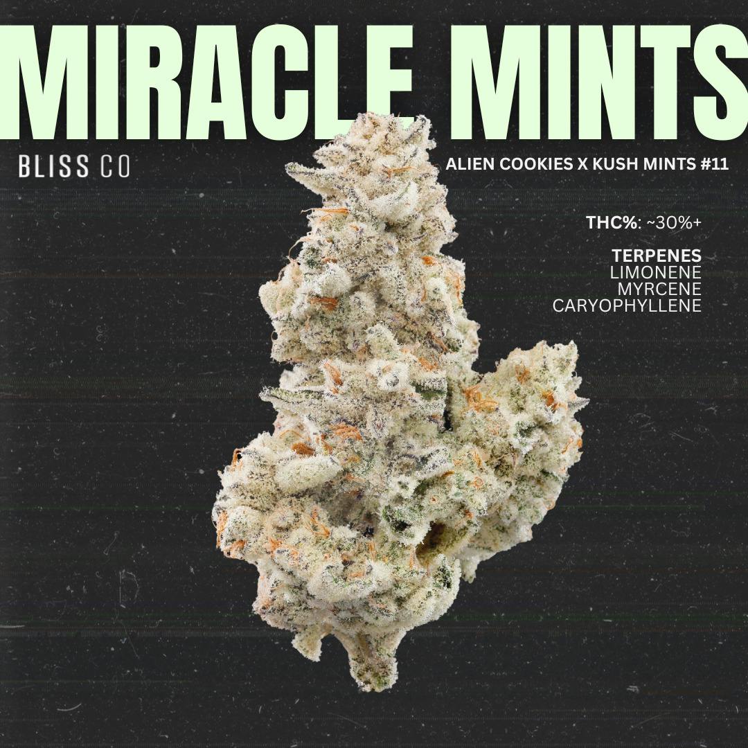 Miracle Mints | Flower | 3.5G