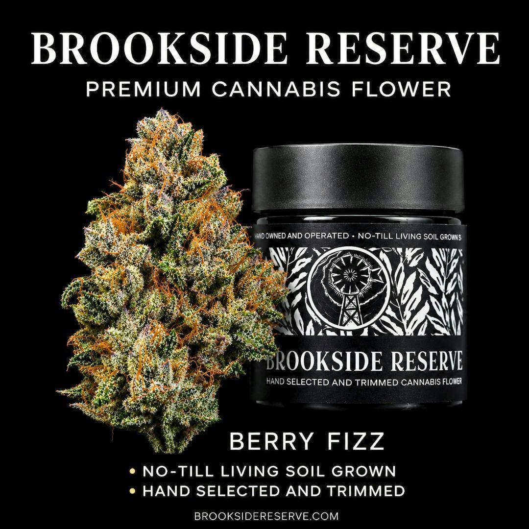 Berry Fizz | Flower | 3.5G