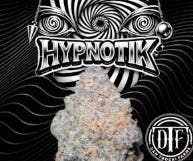 Hypnotik | Flower | 7G