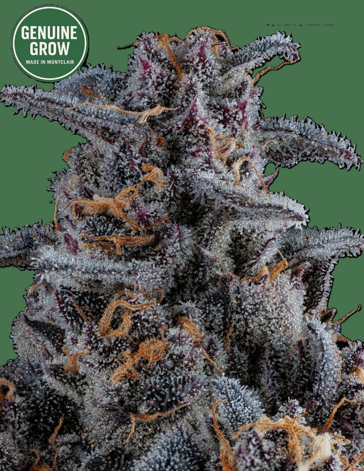 8 Inch Bagel | Flower | 3.5G